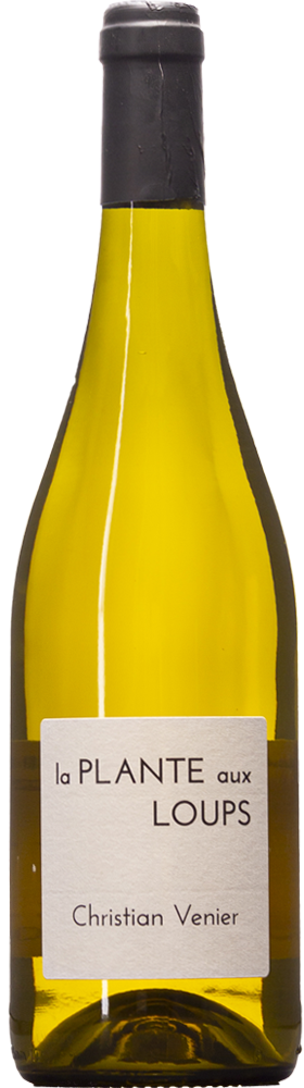 La Plante aux Loups