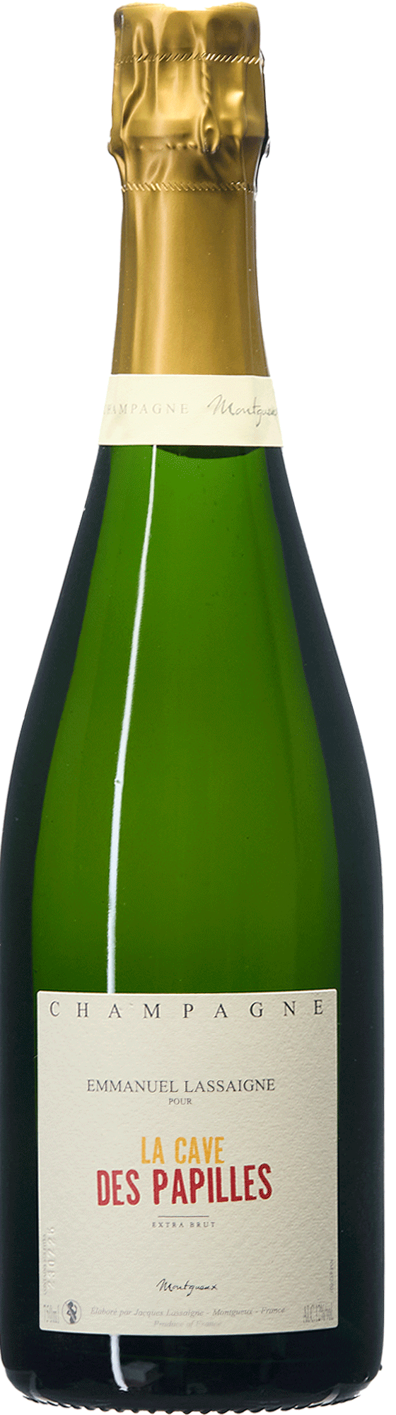 The Cave of Taste Buds