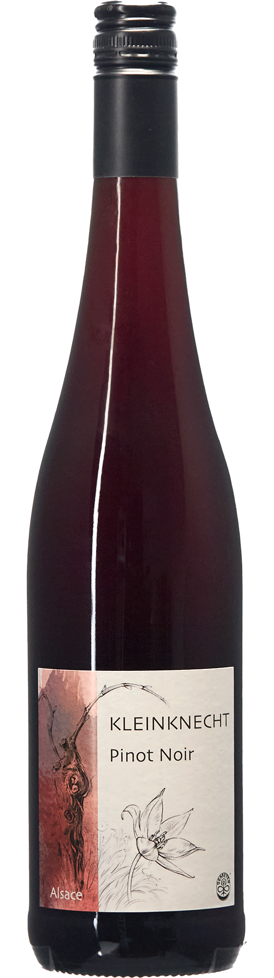 Pinot Noir 2022/23 rouge bouteille organic biodynamic