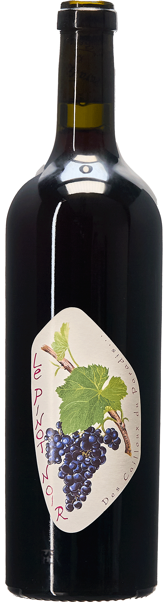 Le Pinot Noir
