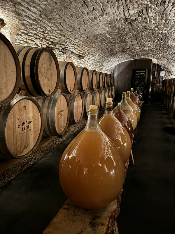 Natural wine - Image 6