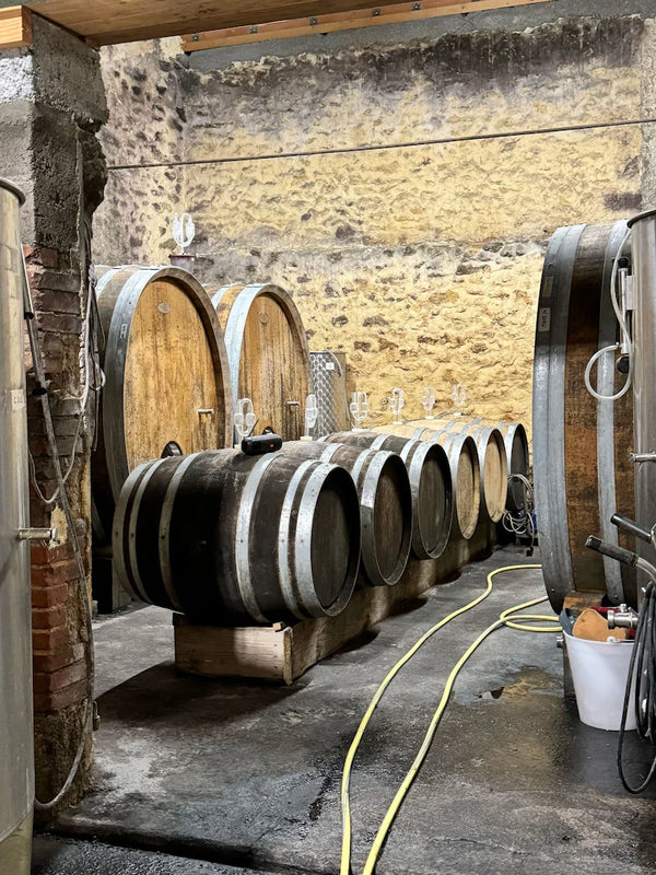 Natural wine - Image 4