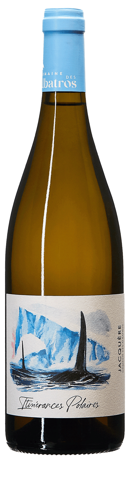 Itinérances Polaires