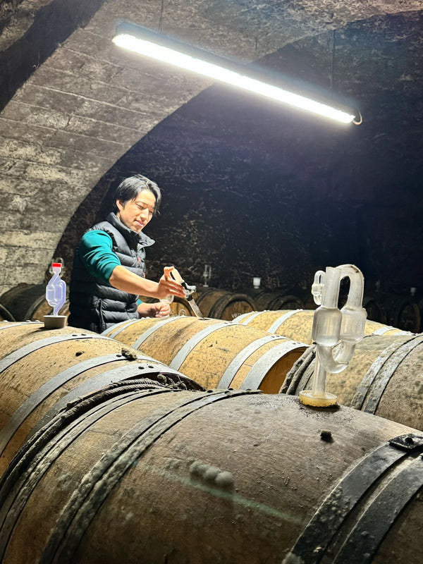 Natural wine - Image 5