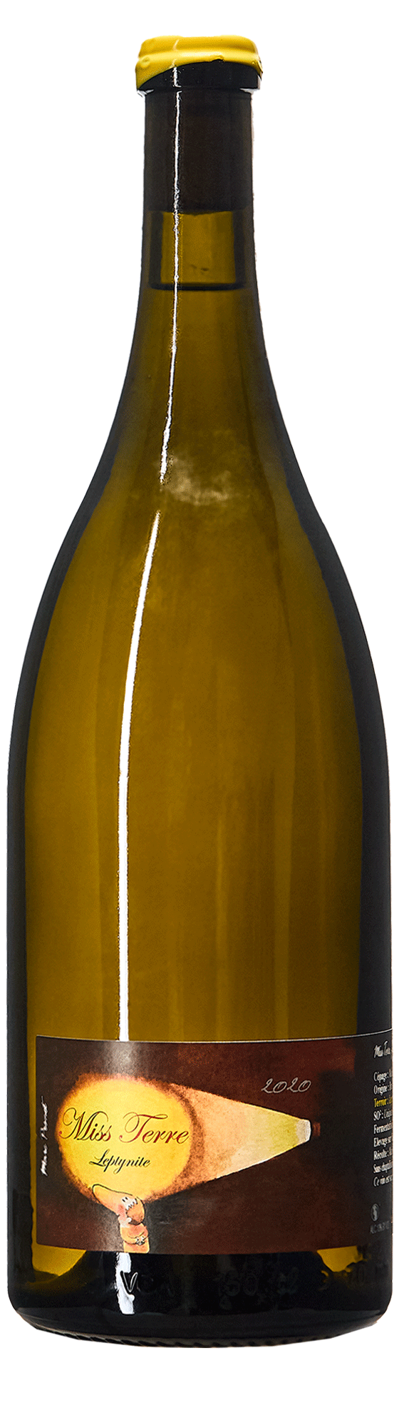 Miss Earth Leptynite