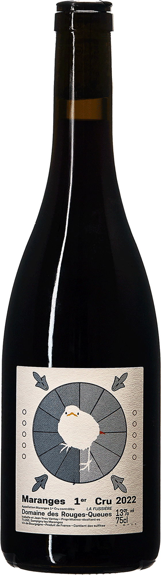 Burgundy "Show Ass" Red