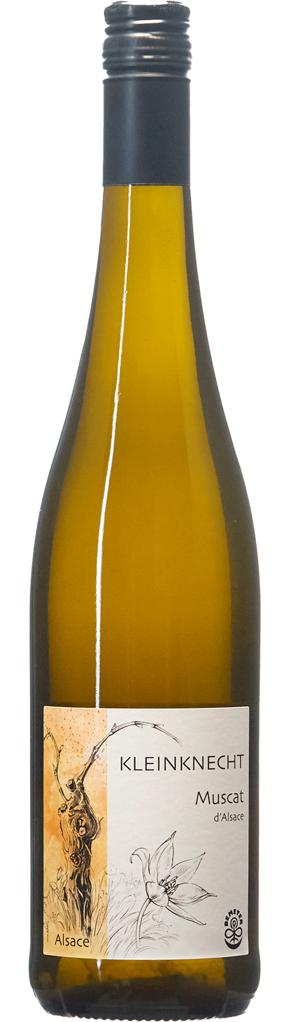 Riesling Terre de Granit