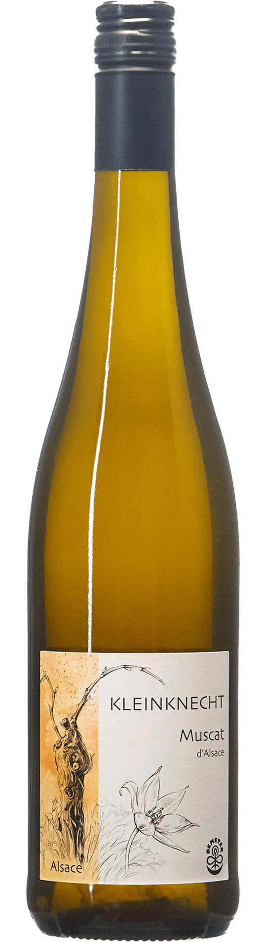 Riesling Terre de Granit