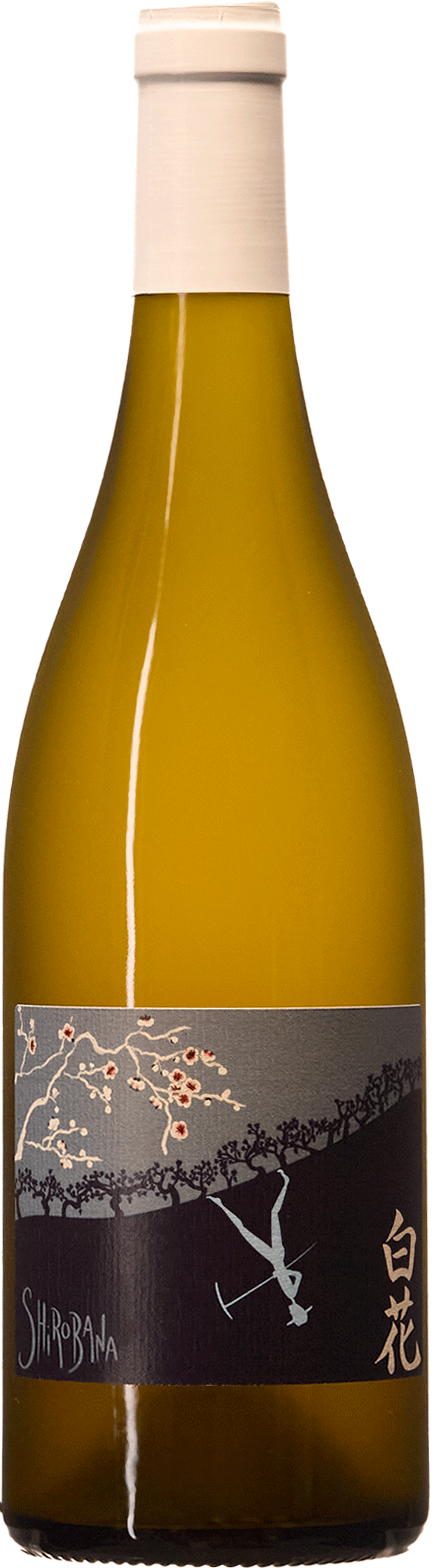 Potemkine
